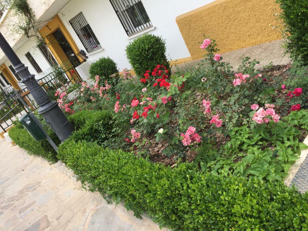 Appartement Panoramic City Center Flat In Arroyo De La Miel Extérieur photo